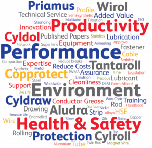 Wordcloud-300×292