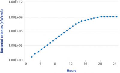 Bacteria-Graph-for-Microbiology2 Bacterial growth versus Time