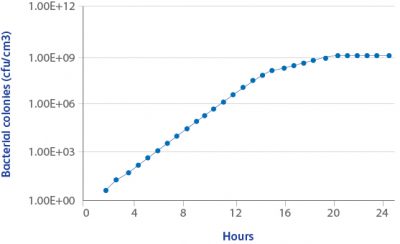 Bacterial growth versus Time