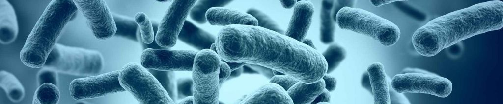 Microbiology of Metalworking Fluids