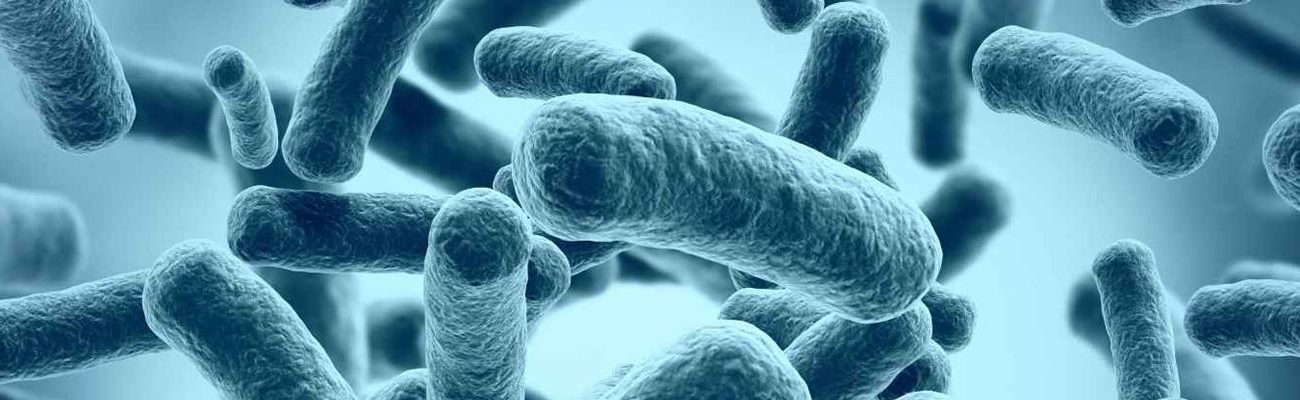 Microbiology of Metalworking Fluids