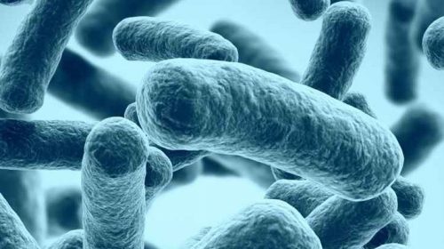 Microbiology of Metalworking Fluids