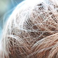 photo-1508168251717-71bffefc5152-compressor-200×200 A human hair is typically 100 microns diameter