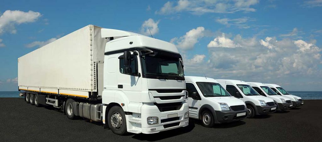 Picture of white truck and 4 white cars in front of the sea