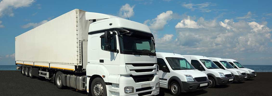 Picture of white truck and 4 white cars in front of the sea