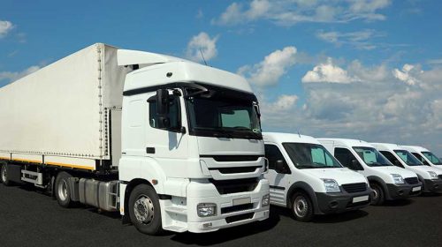 Picture of white truck and 4 white cars in front of the sea