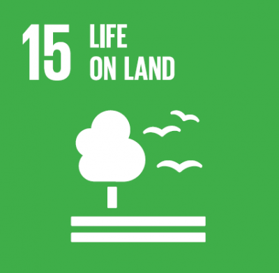 Q8Oils SDG 15 Icon of trees and birds (natural life)